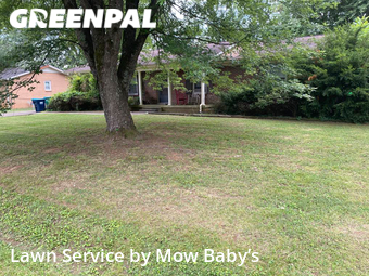 Lawn Care nearby Smyrna, TN, 