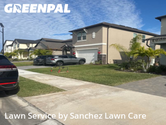 Grass Cut nearby Palmetto, FL, 