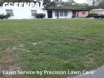 Grass Cut nearby Tampa, FL, 