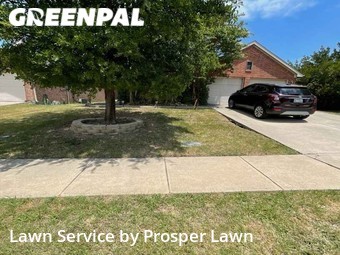 Lawn Mowing Service nearby Little Elm, FL, 