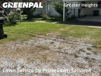 Grass Cut nearby Houston, TX, 