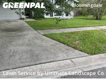 Lawn Upkeep in Bloomingdale, 33596, Lawn Management by Ultimate Landscape Co, work completed in Nov , 2025
