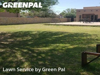 Lawn Cut nearby Socorro, TX, 