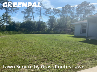 Yard Grooming in Ocala, 34472, Yard Services by Grass Routes Lawn , work completed in Oct , 2025