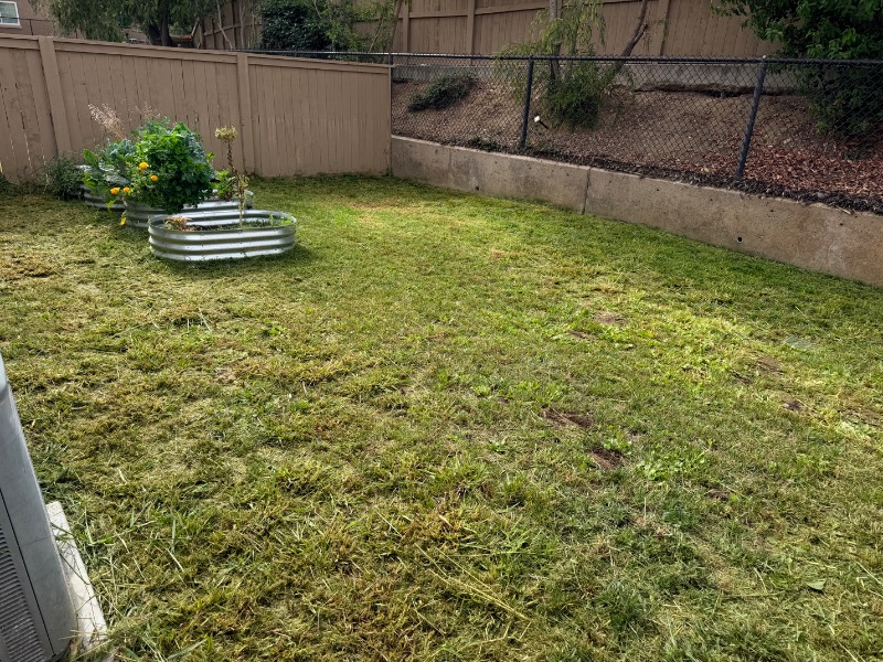 Lawn mowing work by South Cal Landscaping in Coronado, CA