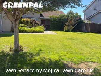 Work completed by affordable-grass-cutting-businesses-in-Rocklin-CA