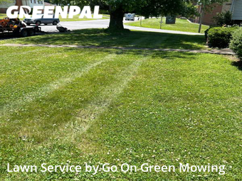 Lawn Care Service nearby Hollins, VA, 
