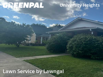 Yard Mowing nearby Indianapolis, IN, 