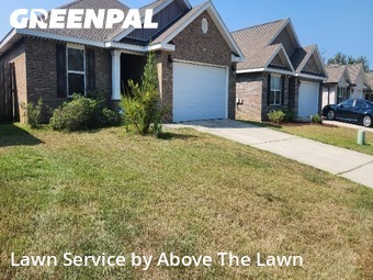 Backyard Mowing in Bellview, 32526, Grass Cutting by Above The Lawn, work completed in Nov , 2025