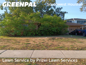 Lawn Carein Bellaire,77401,Grass Cut by Prizel Lawn Services, work completed in Dec , 2025