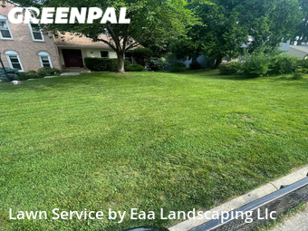 Lawn Care nearby Silver Spring, MD, 