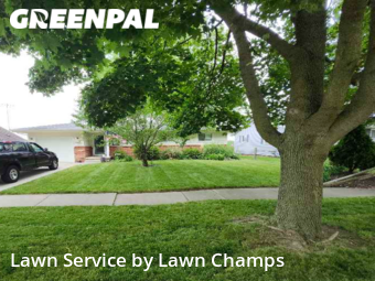 Yard Cutting nearby Maumee, OH, 