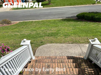 Lawn Cut nearby Matthews, NC, 