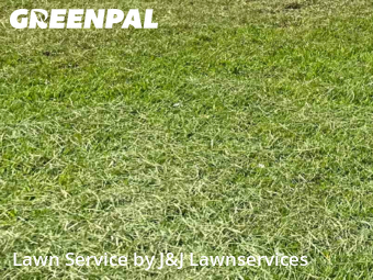 Grass Cut nearby Spring, TX, 
