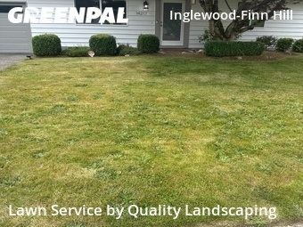 Lawn mowed in Bothell, 98011