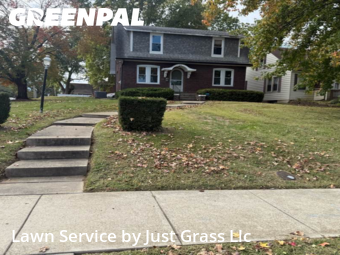 Grass Cuttingin Belleville,62220,Lawn Cut by Just Grass Llc, work completed in Nov , 2025