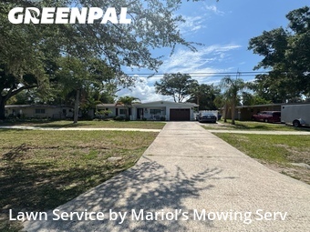 Grass Cutting nearby Oldsmar, FL, 
