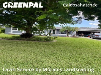 Grass Cutting nearby Cape Coral, FL, 