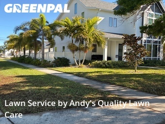 Yard Cutting nearby St. Petersburg, FL, 