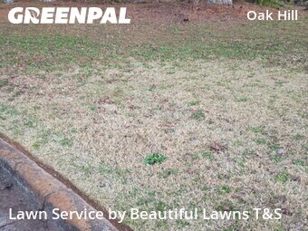 Lawn Service nearby Covington, GA, 