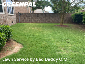 Grass Cut nearby Simpsonville, SC, 