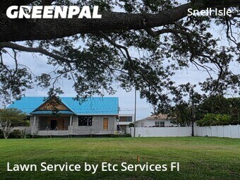 Lawn Cut nearby St. Petersburg, FL, 