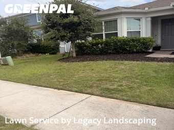 Local Lawn And Landscape Maintenance Services Near Me In Oakland,34787,Landscaping by Legacy Landscaping, work completed in Jun , 2026