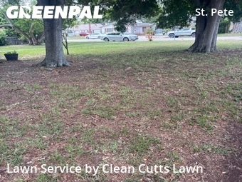 Grass Cutting nearby St. Petersburg, FL, 