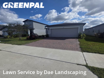 Grass Cutin Clermont,34714,Grass Cut by Dae Landscaping, work completed in Dec , 2025