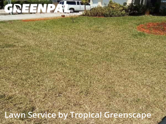 Lawn Care nearby Port Charlotte, FL, 