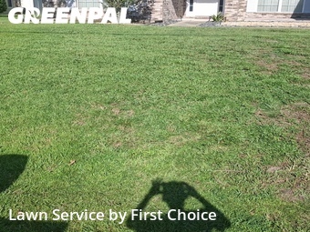 Lawn Mowing nearby Palm Coast, FL, 