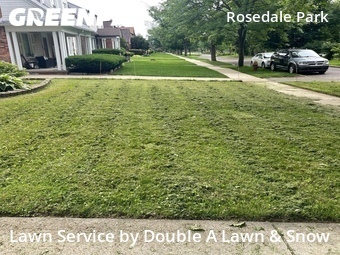 Lawn mowed in Detroit, 48223