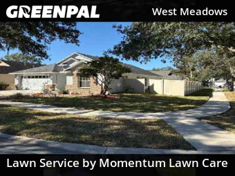 Grass Cut nearby Tampa, FL, 