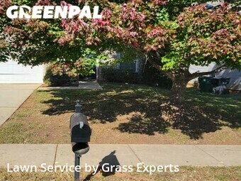 Yard Cutting nearby Charlotte, NC, 