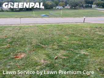 Lawn Cutting nearby Bellevue, NE, 