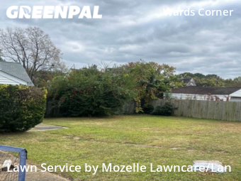Grass Cutting nearby Norfolk, VA, 