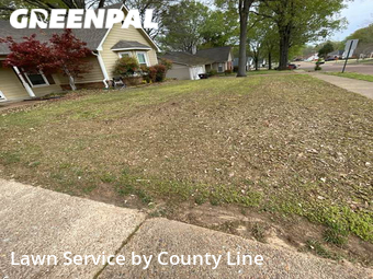 Lawn Mowing nearby Collierville, TN, 