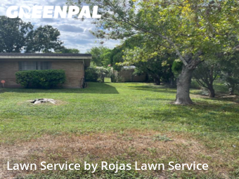 Grass Cut nearby San Juan, TX, 