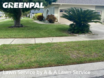 Grass Cutting nearby Oviedo, FL, 