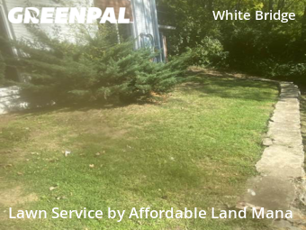 Yard Cutting nearby Nashville, TN, 