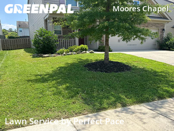 Lawn Mow nearby Charlotte, NC, 