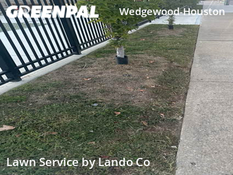 Grass Cut nearby Nashville, TN, 