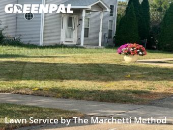 Lawn Mowing Service nearby Bolingbrook, IL, 