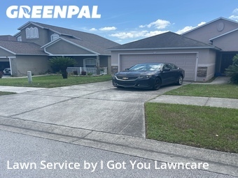 Grass Cut nearby Groveland, FL, 