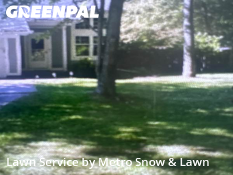 Grass Cutting nearby Harrison Township, MI, 