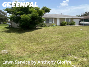 Grass Cutting nearby Port Charlotte, OH, 