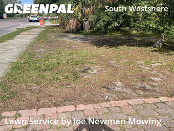 Lawn Service nearby Tampa, FL, 