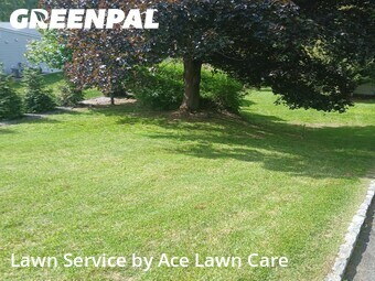 Lawn Service nearby Shelton, CT, 