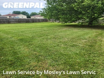 Grass Cut nearby Clarksville, TN, 
