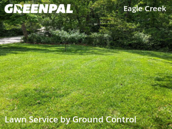 Grass Cut nearby Indianapolis, IN, 